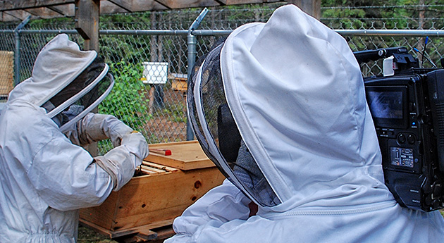 Les gants d'apiculteurs sont souvent fabriqués de cuir ou de toile. Très minces et flexibles, ils permettent une grande dextérité